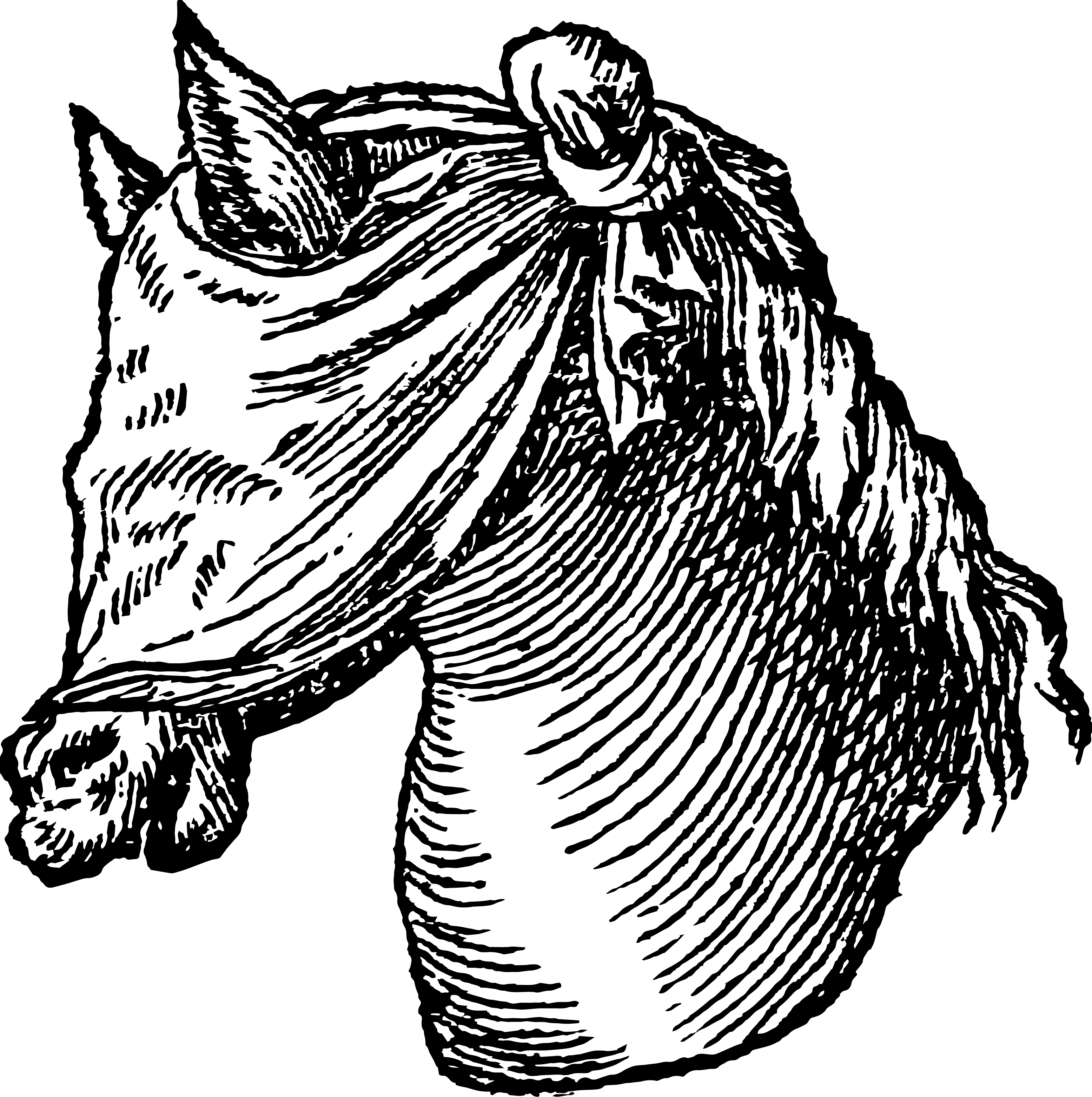 illustration of a horse blindfolded